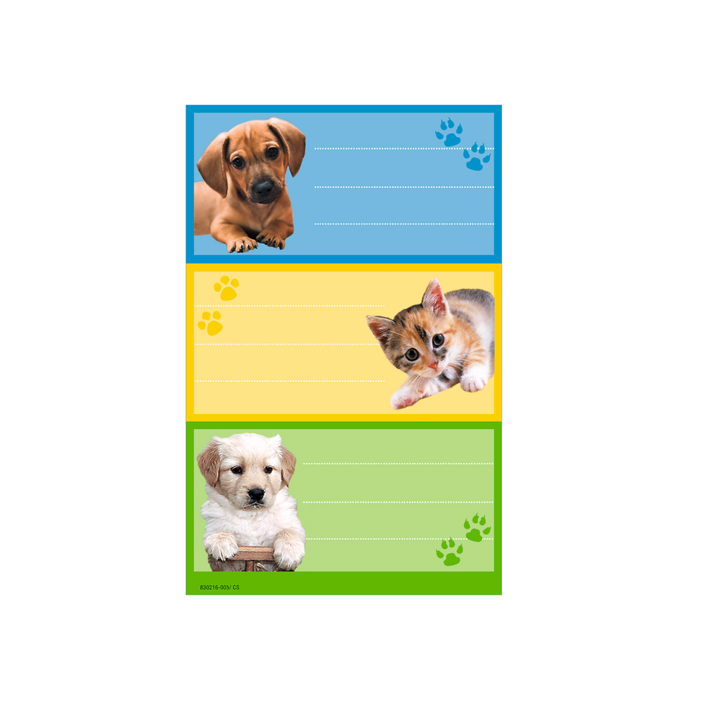 Zdjęcie główne [MP]