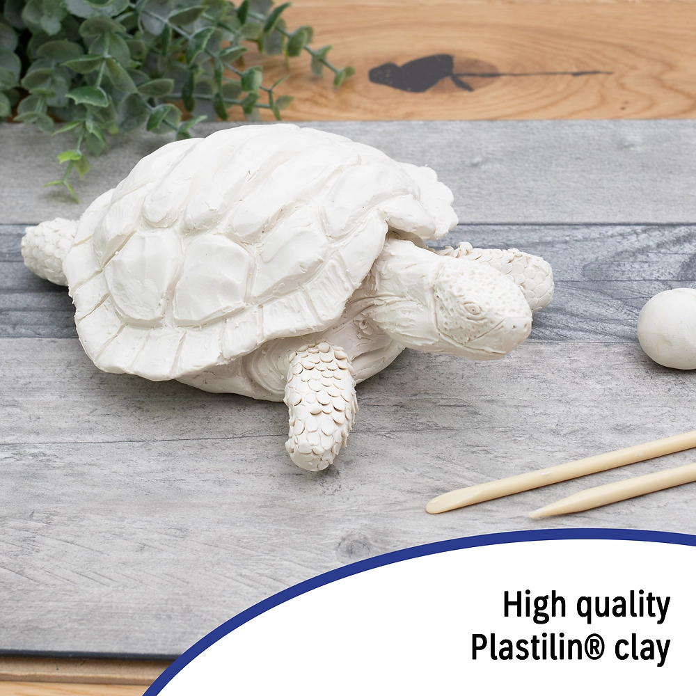 Packshot open [1506]