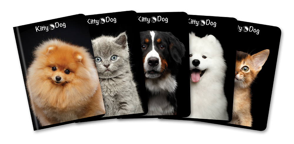 Zdjęcie główne [MP]