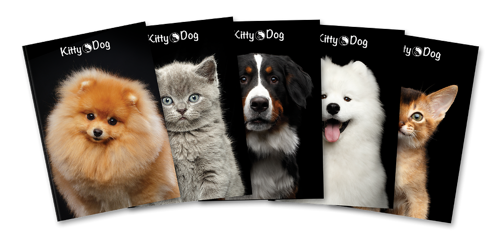 Zdjęcie główne [MP]