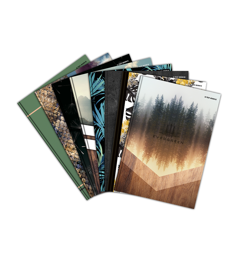 Zdjęcie główne [MP]