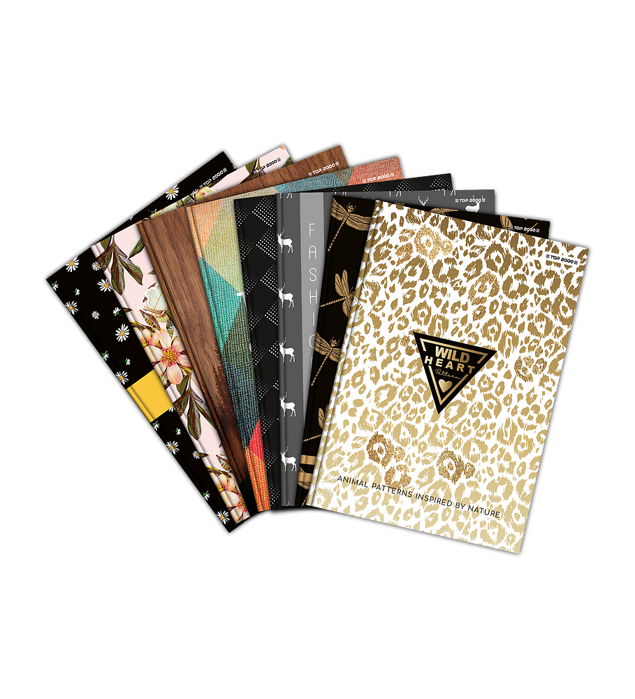 Zdjęcie główne [MP]