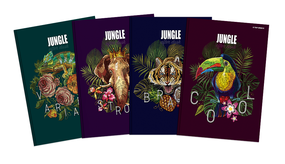 Zdjęcie główne [MP]