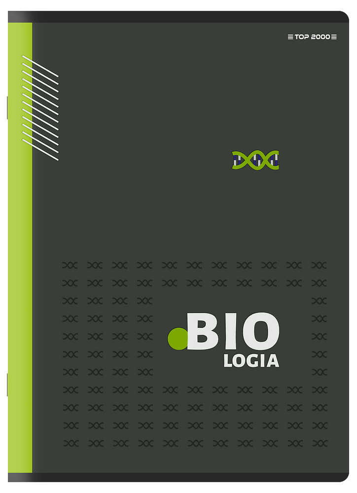 Zdjęcie główne [MP]