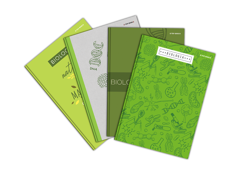 Zdjęcie główne [MP]