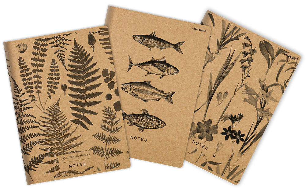 Zdjęcie główne [MP]