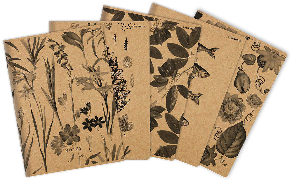 Zdjęcie główne [MP]