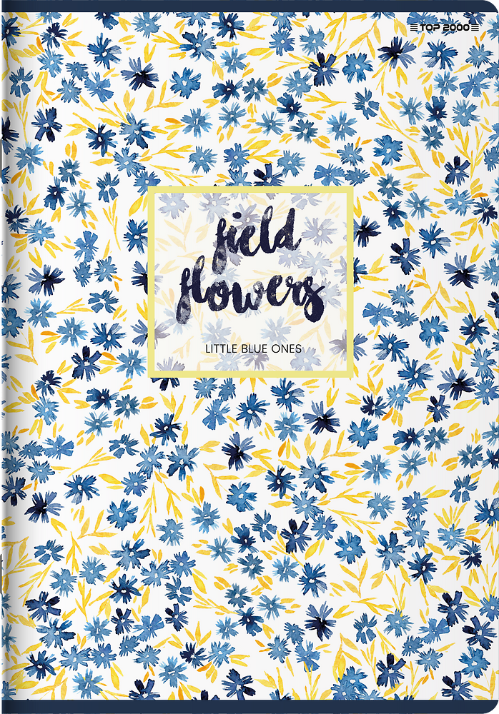 Zdjęcie główne [MP]