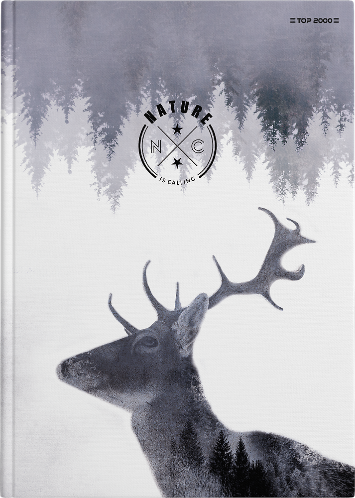 Zdjęcie główne [MP]