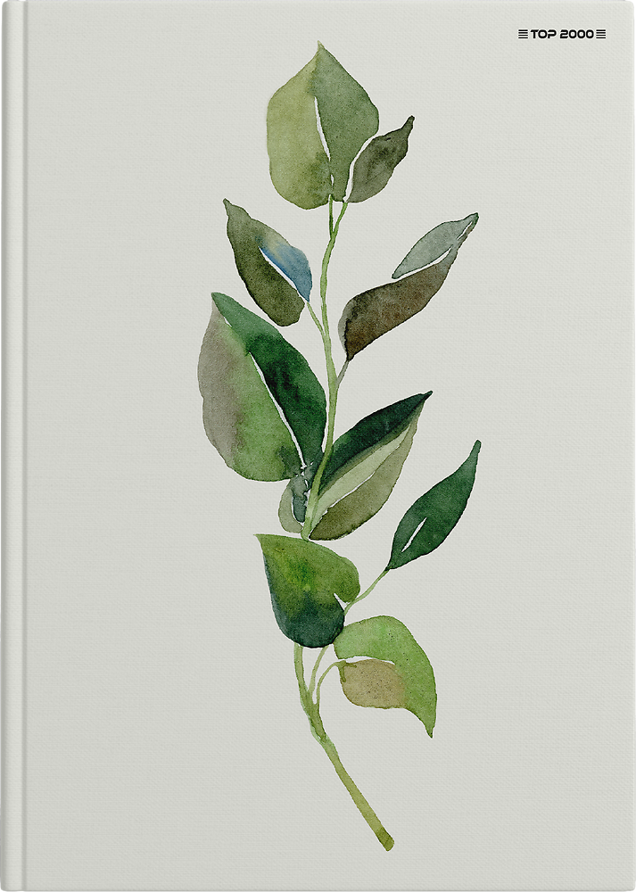 Zdjęcie główne [MP]