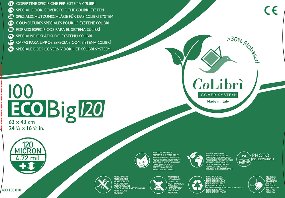 Zdjęcie główne [MP]