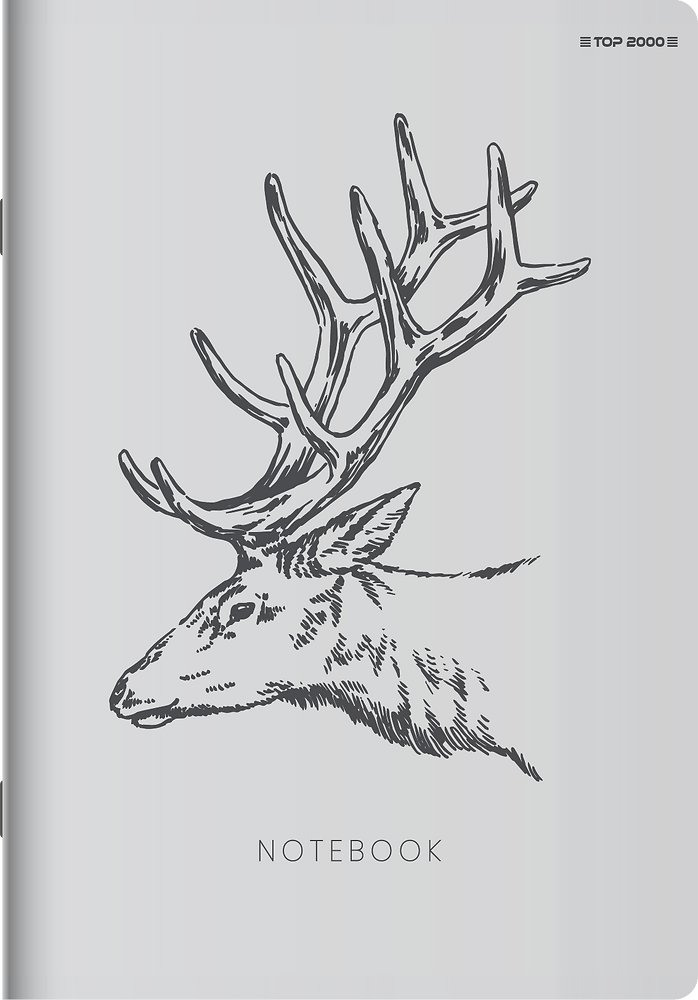 Zdjęcie główne [MP]