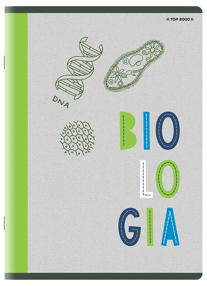 Zdjęcie główne [MP]