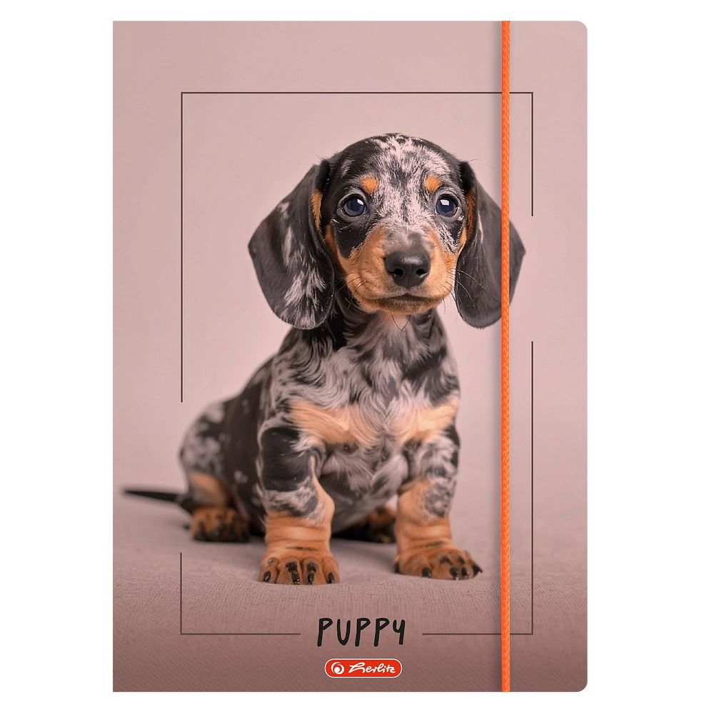 Zdjęcie główne Polska [MAIN]