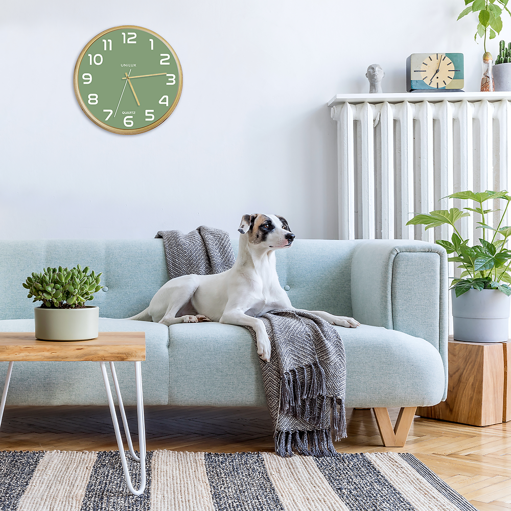 Packshot open [1504]