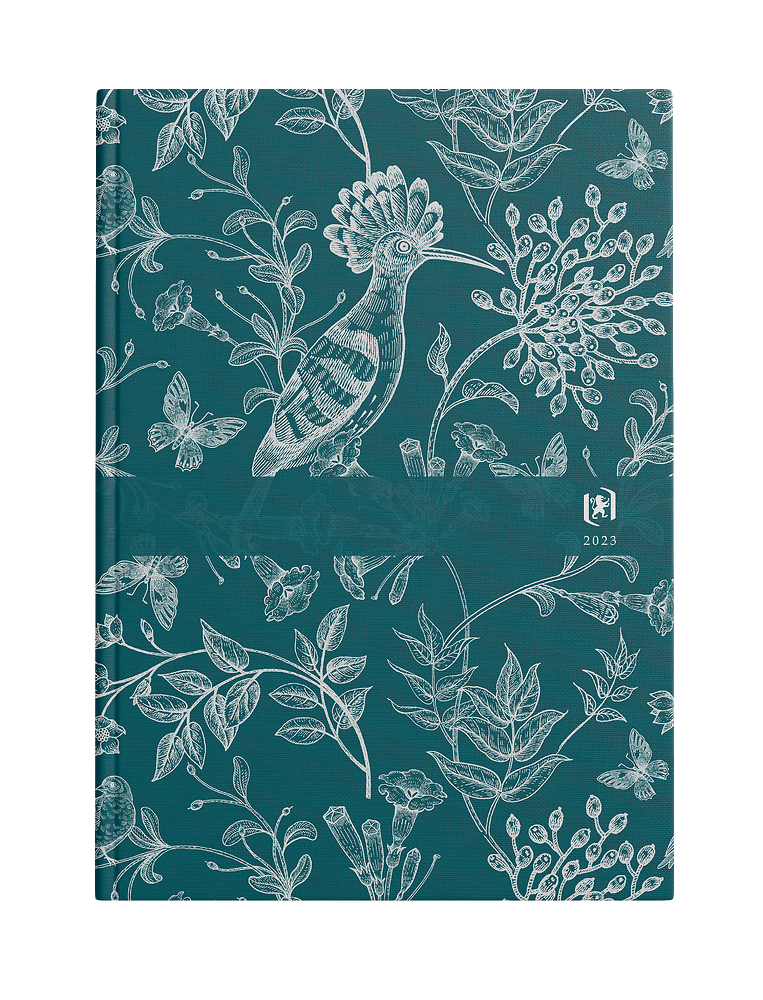 Zdjęcie główne [MP]