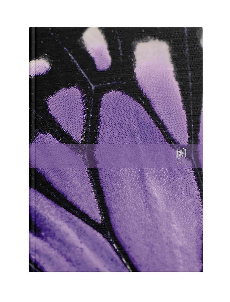 Zdjęcie główne [MP]