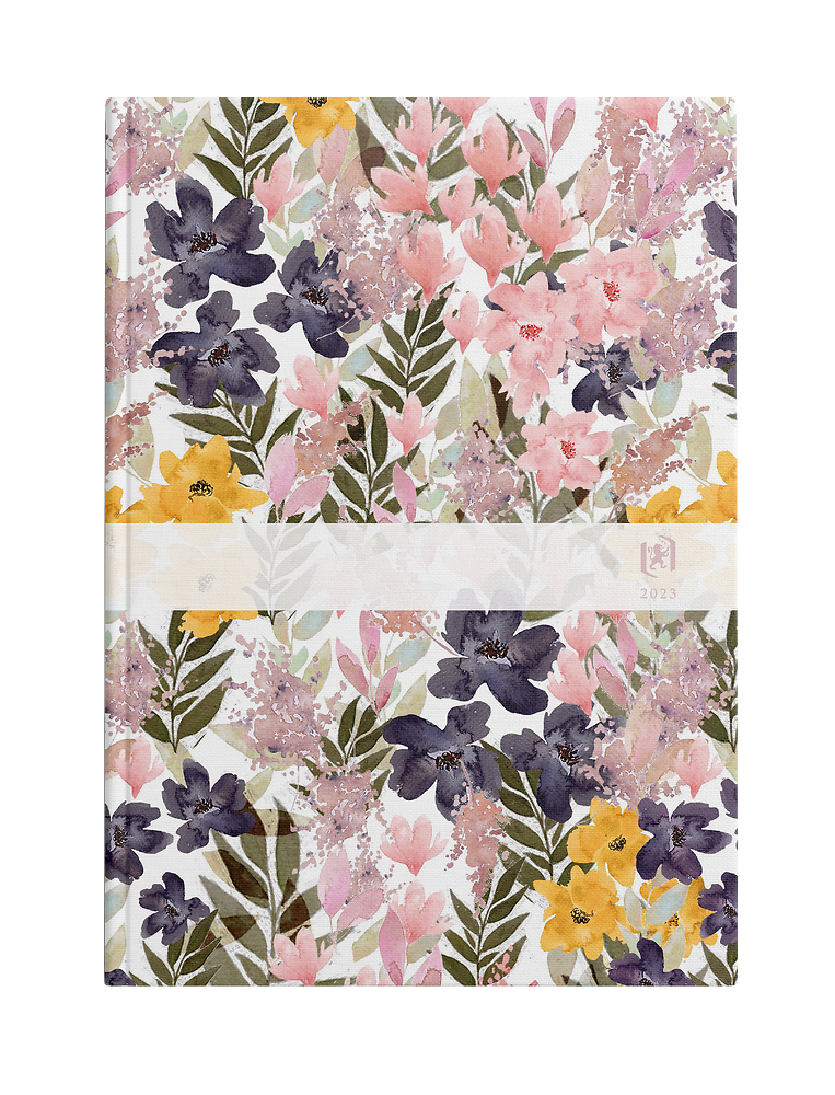 Zdjęcie główne [MP]