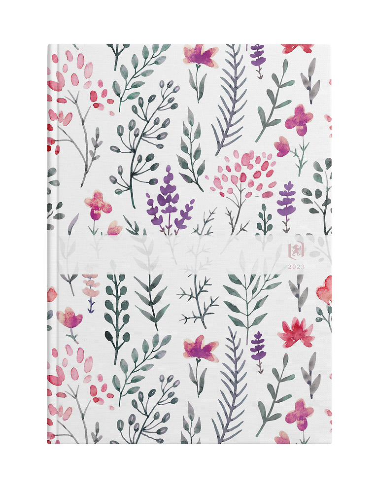 Zdjęcie główne [MP]