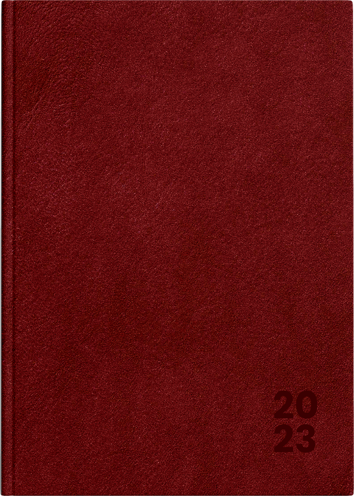 Zdjęcie główne [MP]