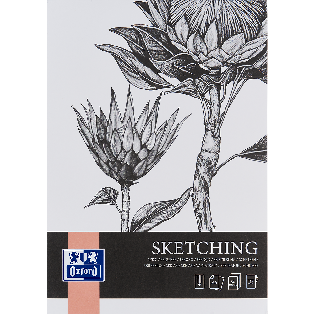 Zdjęcie główne [MP]