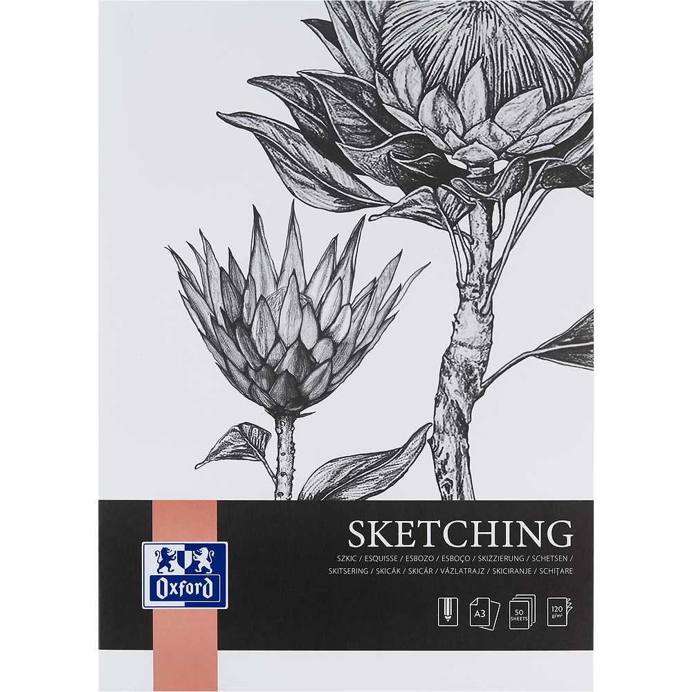 Zdjęcie główne [MP]