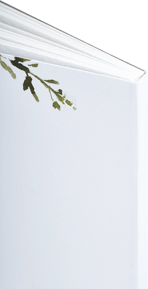 Packshot open [1502]