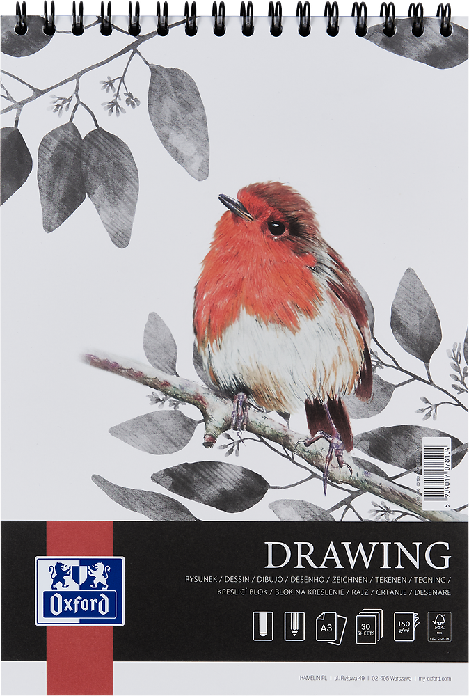 Zdjęcie główne [MP]