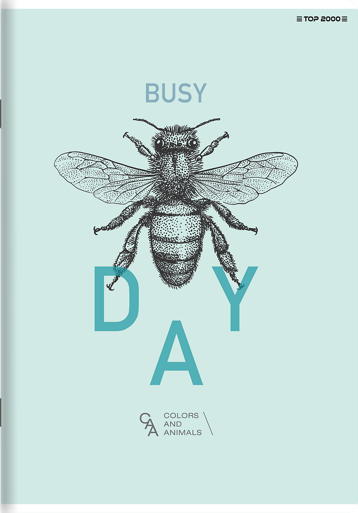 Zdjęcie główne [MP]