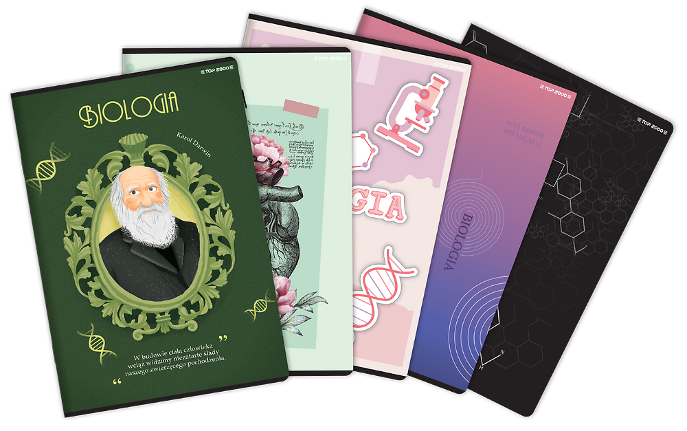 Zdjęcie główne [MP]