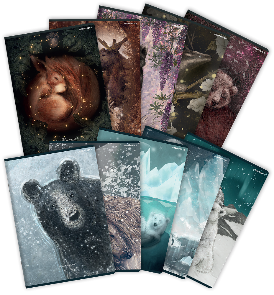 Zdjęcie główne [MP]