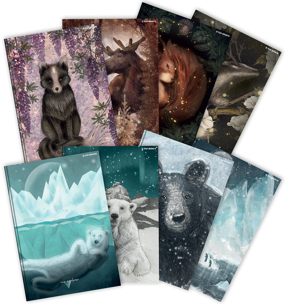 Zdjęcie główne [MP]