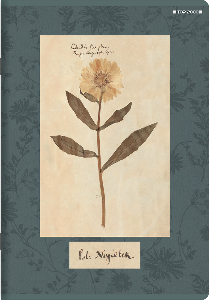 Zdjęcie główne [MP]