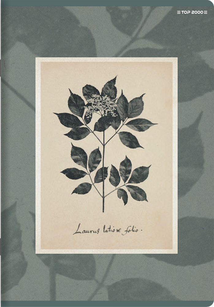 Zdjęcie główne [MP]