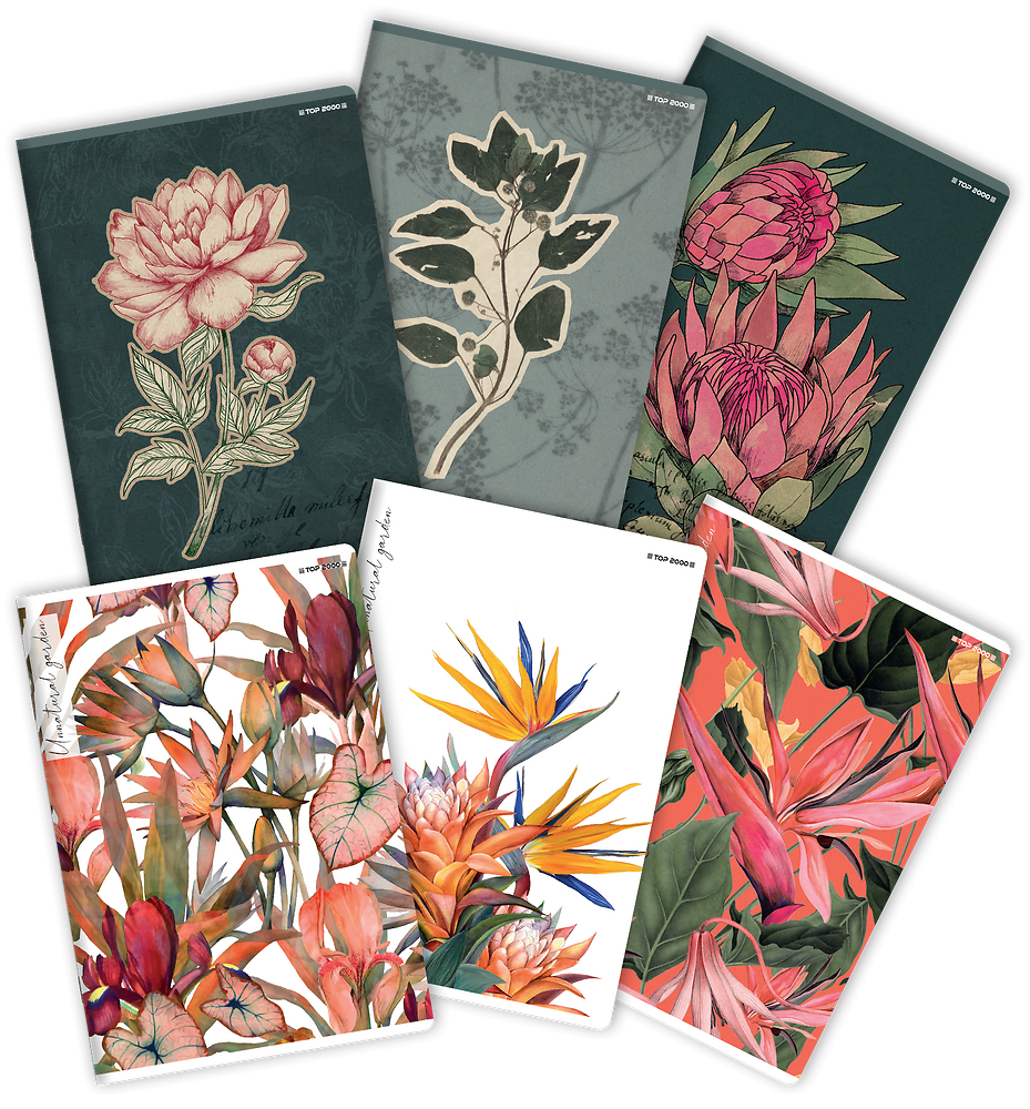 Zdjęcie główne [MP]