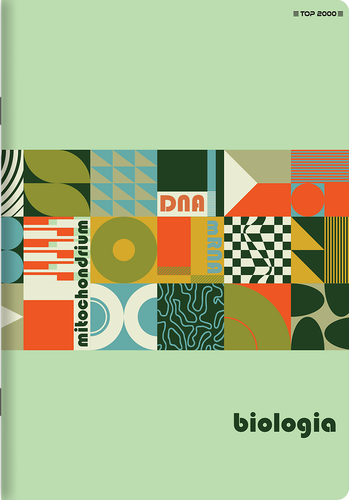 Zdjęcie główne [MP]