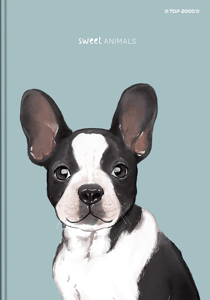 Zdjęcie główne [MP]