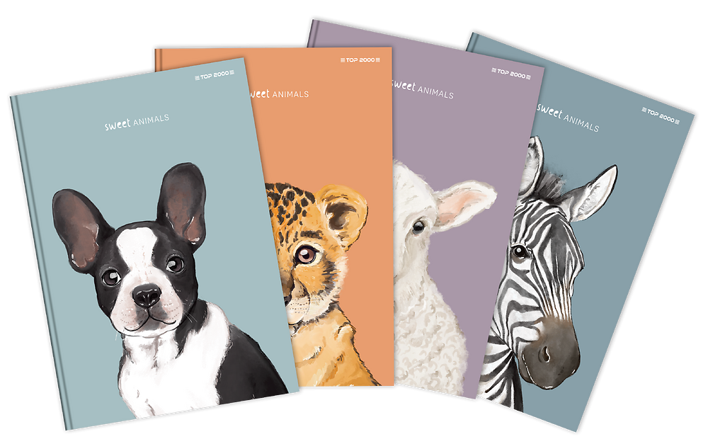 Zdjęcie główne [MP]