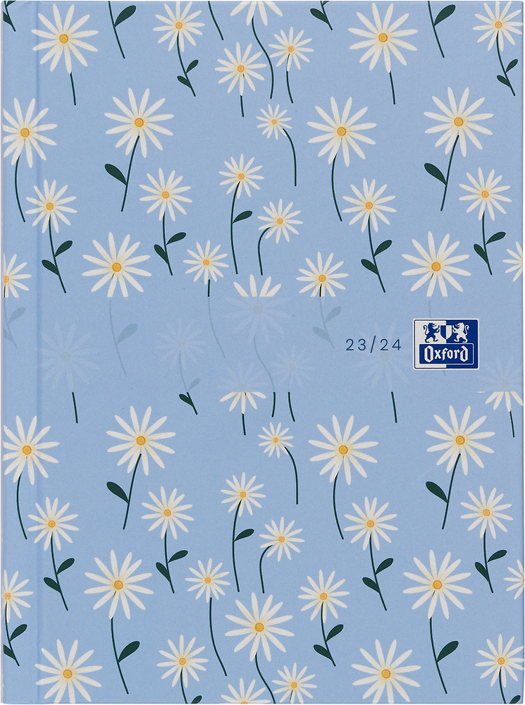 Zdjęcie główne [MP]