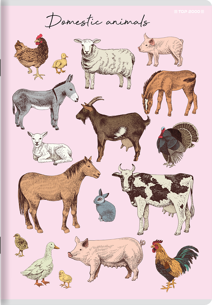 Zdjęcie główne [MP]