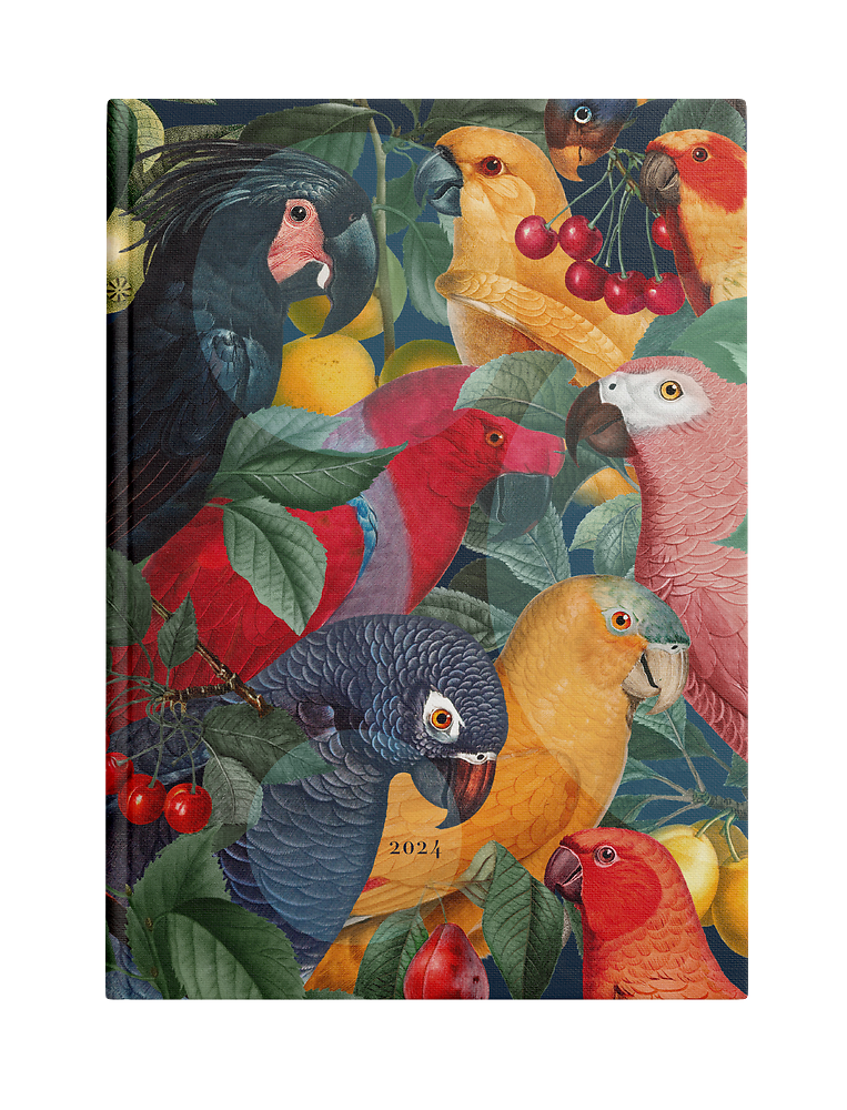 Zdjęcie główne [MP]