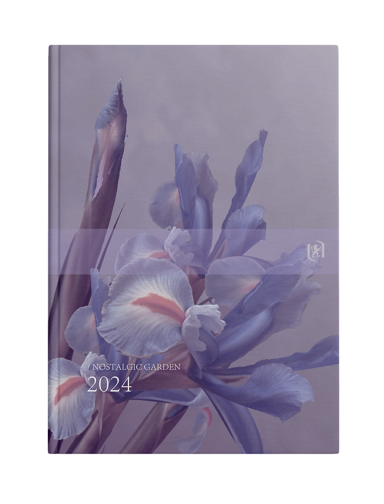 Zdjęcie główne [MP]