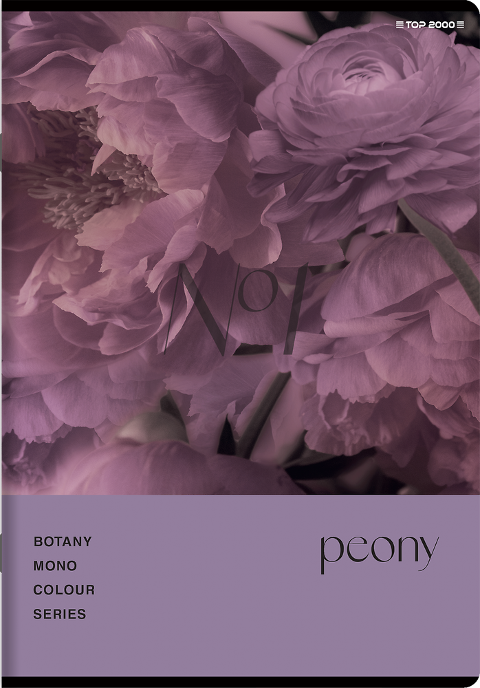 Zdjęcie główne [MP]