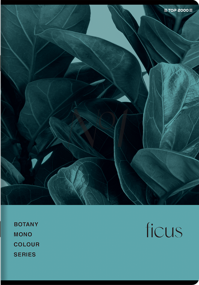 Zdjęcie główne [MP]