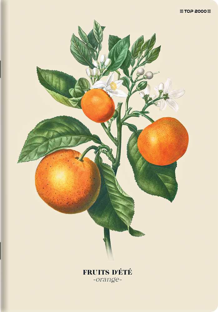 Zdjęcie główne [MP]