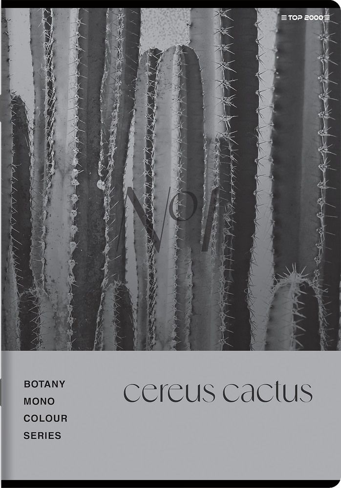 Zdjęcie główne [MP]