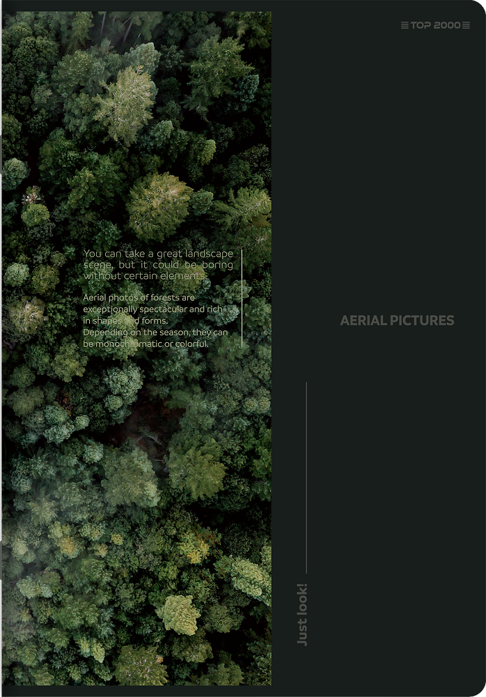 Zdjęcie główne [MP]