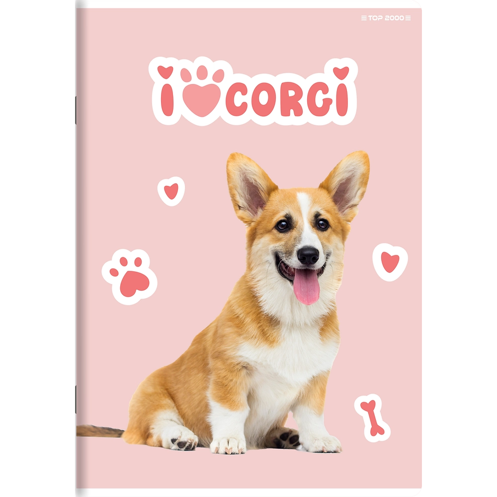 Zdjęcie główne Polska [MAIN]