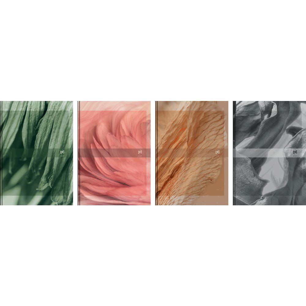 Zdjęcie główne [MP]