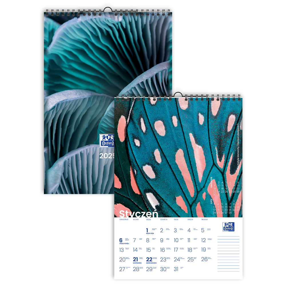 Zdjęcie główne [MP]